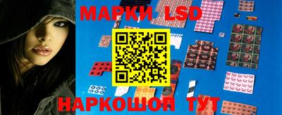 тгк Обь