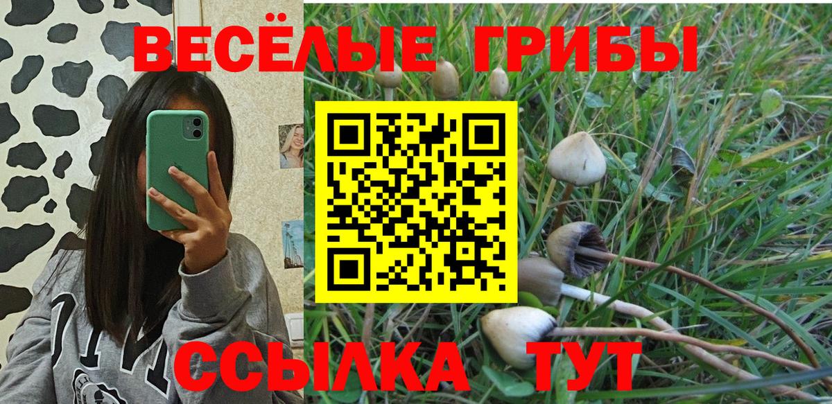 Псилоцибиновые грибы мицелий Троицк