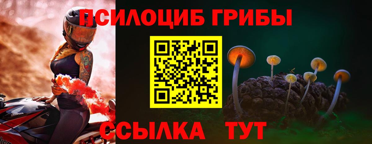 Галлюциногенные грибы мицелий  Галлюциногенные грибы GOLDEN TEACHER  Вход с VPN  Троицк 